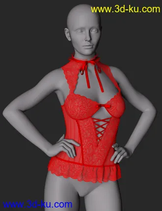 3D打印模型CNB Lace dForce Bustier for Genesis 8 and 8.1 Females的图片