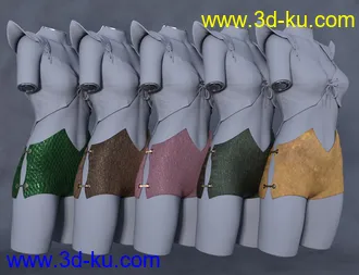 3D打印模型Copperwhirl Shorts for Genesis 8 and 8.1 Females的图片