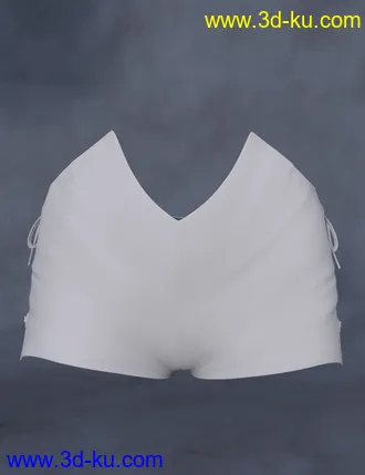 3D打印模型Copperwhirl Shorts for Genesis 8 and 8.1 Females的图片