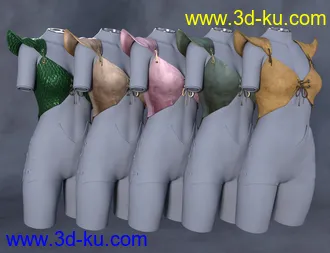 3D打印模型Copperwhirl Top for Genesis 8 and 8.1 Females的图片