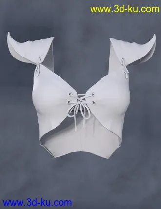 3D打印模型Copperwhirl Top for Genesis 8 and 8.1 Females的图片