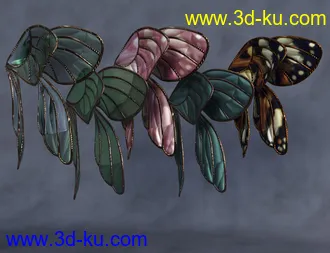 3D打印模型Copperwhirl Wings for Genesis 8 and 8.1 Females的图片