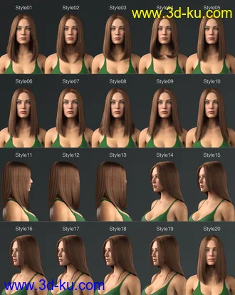 3D打印模型Dalila Hair For Genesis 8 and 8.1 Female的图片