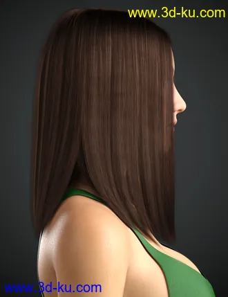 3D打印模型Dalila Hair For Genesis 8 and 8.1 Female的图片