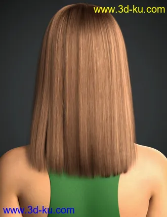 3D打印模型Dalila Hair For Genesis 8 and 8.1 Female的图片