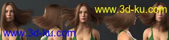 3D打印模型Dalila Hair For Genesis 8 and 8.1 Female的图片