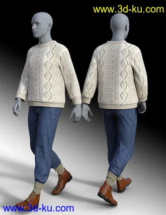 3D打印模型dForce Aran Sweater Outfit for Genesis 8 Males的图片