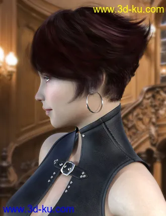 3D打印模型dForce Camira Hair for Genesis 8 and 8.1 Females的图片