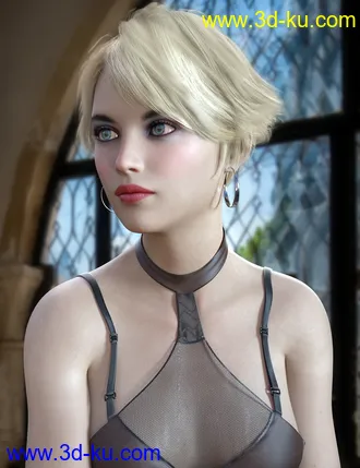 3D打印模型dForce Camira Hair for Genesis 8 and 8.1 Females的图片