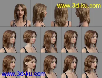 3D打印模型dForce Casual Hair for Genesis 8 and 8.1 Females的图片