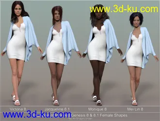 3D打印模型dForce Casual Summer Outfit for Genesis 8 and 8.1 Females的图片