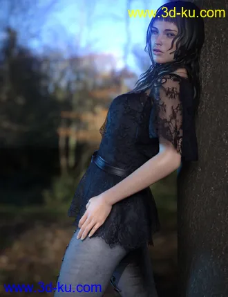 3D打印模型dForce CB Ryi Clothing Set for Genesis 8 and 8.1 Females的图片