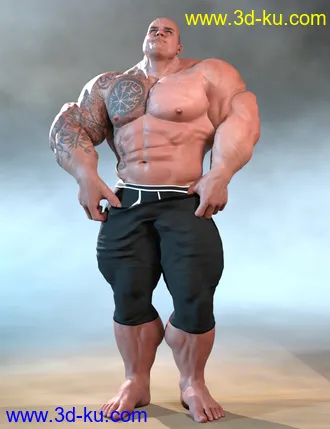 3D打印模型dForce Chronicles of the Heroes Outfit for Genesis 8 Males的图片