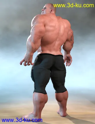 3D打印模型dForce Chronicles of the Heroes Outfit for Genesis 8 Males的图片