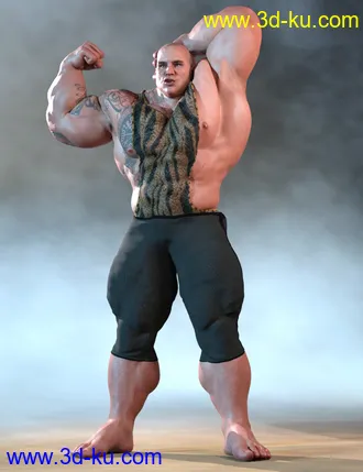 3D打印模型dForce Chronicles of the Heroes Outfit for Genesis 8 Males的图片