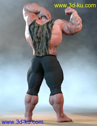 3D打印模型dForce Chronicles of the Heroes Outfit for Genesis 8 Males的图片