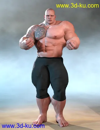 3D打印模型dForce Chronicles of the Heroes Outfit for Genesis 8 Males的图片