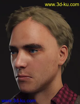 3D打印模型dForce Dion Hair for Genesis 8 & 3 Male(s)的图片