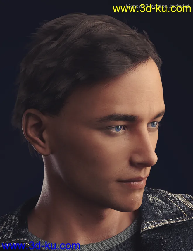 dForce Dion Hair for Genesis 8 & 3 Male(s)模型的图片2