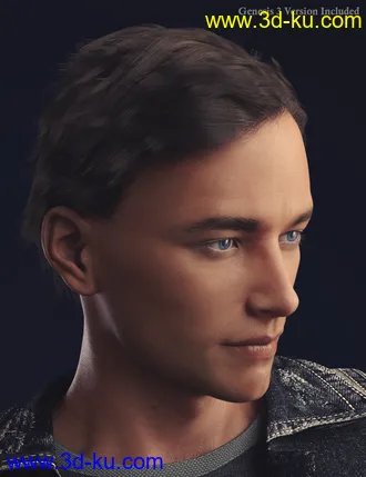 3D打印模型dForce Dion Hair for Genesis 8 & 3 Male(s)的图片