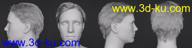 dForce Dion Hair for Genesis 8 & 3 Male(s)模型的图片3