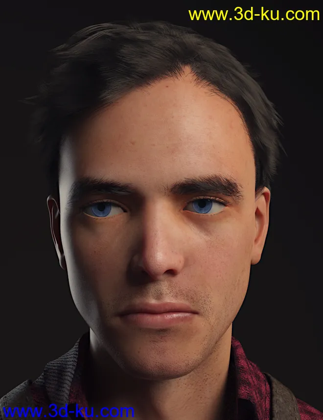 dForce Dion Hair for Genesis 8 & 3 Male(s)模型的图片4