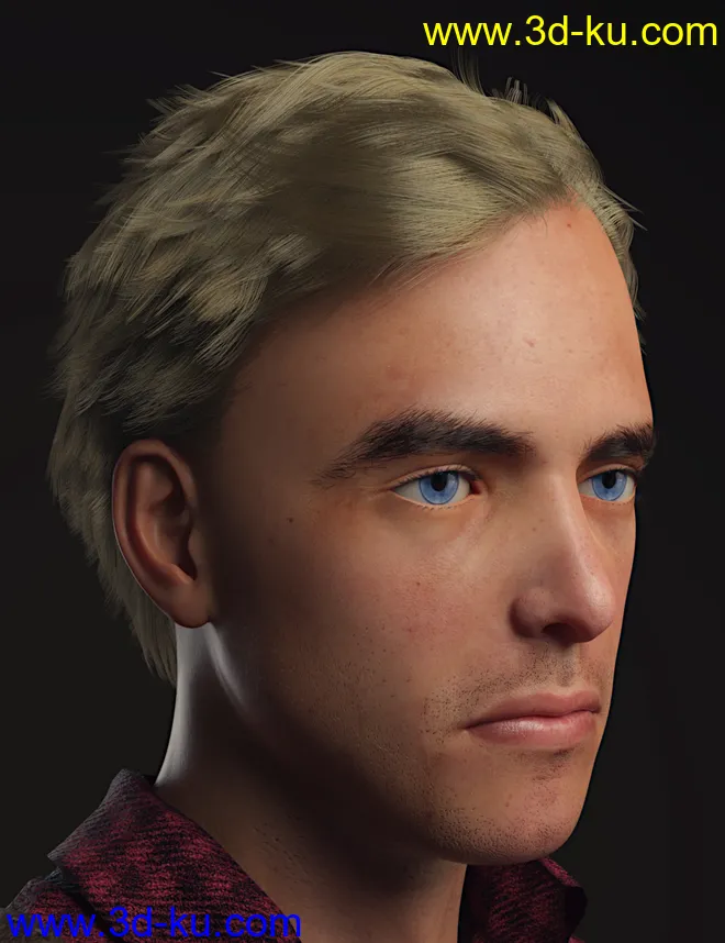 dForce Dion Hair for Genesis 8 & 3 Male(s)模型的图片5