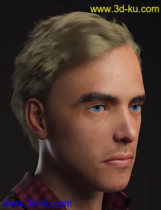 3D打印模型dForce Dion Hair for Genesis 8 & 3 Male(s)的图片