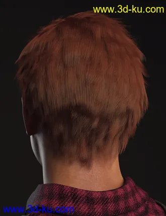3D打印模型dForce Dion Hair for Genesis 8 & 3 Male(s)的图片