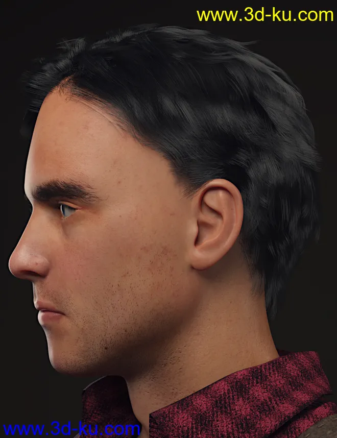 dForce Dion Hair for Genesis 8 & 3 Male(s)模型的图片8