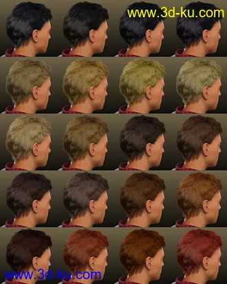 3D打印模型dForce Dion Hair for Genesis 8 & 3 Male(s)的图片