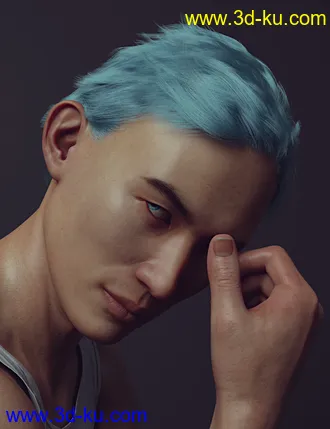 3D打印模型dForce Dion Hair for Genesis 8 & 3 Male(s)的图片
