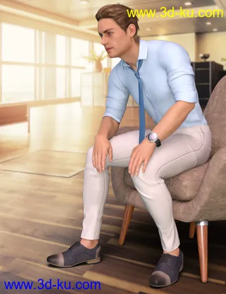 3D打印模型dForce Oxford Outfit for Genesis 8 Male(s)的图片