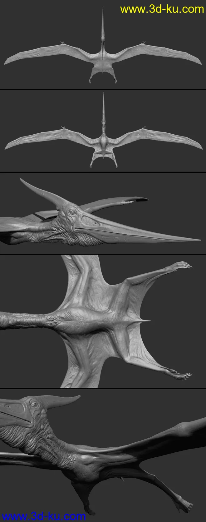 dForce Pteranodon by AM模型的图片2