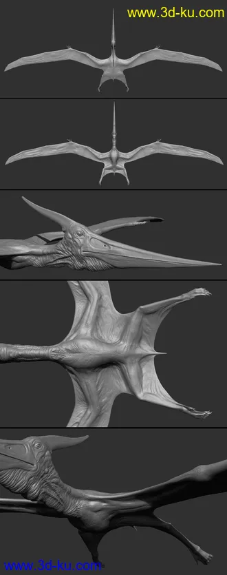 3D打印模型dForce Pteranodon by AM的图片