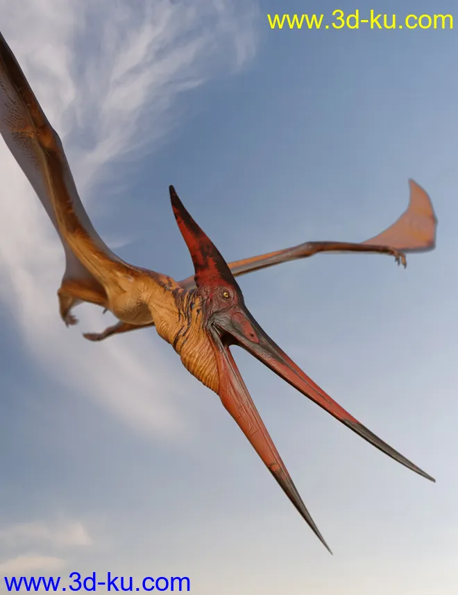 dForce Pteranodon by AM模型的图片4