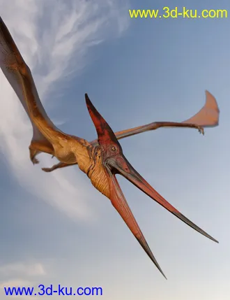 3D打印模型dForce Pteranodon by AM的图片
