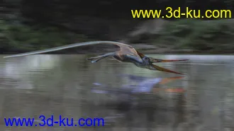 3D打印模型dForce Pteranodon by AM的图片