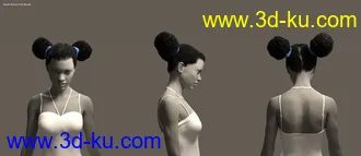 3D打印模型Double Puff Afro Puff Hair Style for Genesis 8 Females的图片