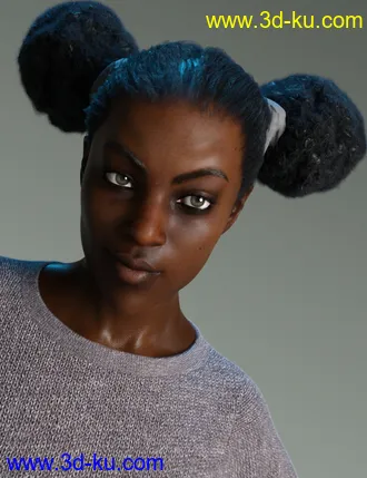 3D打印模型Double Puff Afro Puff Hair Style for Genesis 8 Females的图片