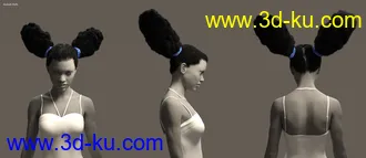 3D打印模型Double Puff Afro Puff Hair Style for Genesis 8 Females的图片