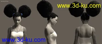 3D打印模型Double Puff Afro Puff Hair Style for Genesis 8 Females的图片