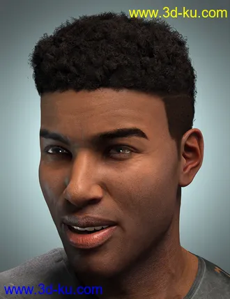 3D打印模型Fade Hair for Genesis 8.1 Males的图片