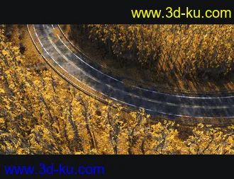 3D打印模型Forest Road的图片