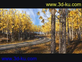 3D打印模型Forest Road的图片