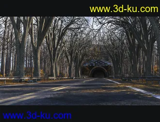 3D打印模型Forest Road的图片