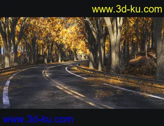 3D打印模型Forest Road的图片