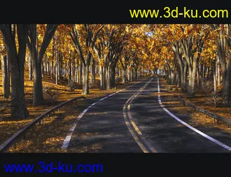3D打印模型Forest Road的图片
