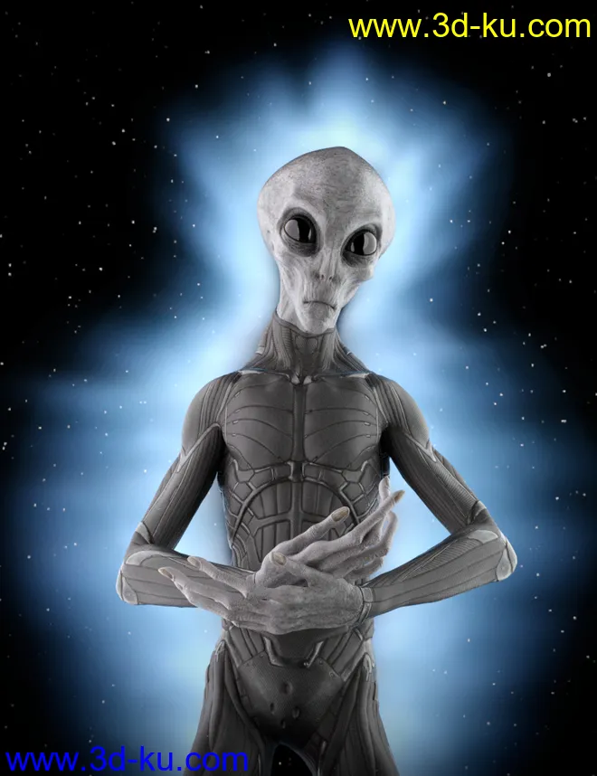 FSL Flexible Auras and Halos模型的图片1