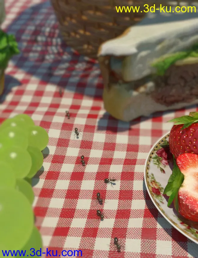 Garden Ant模型的图片2